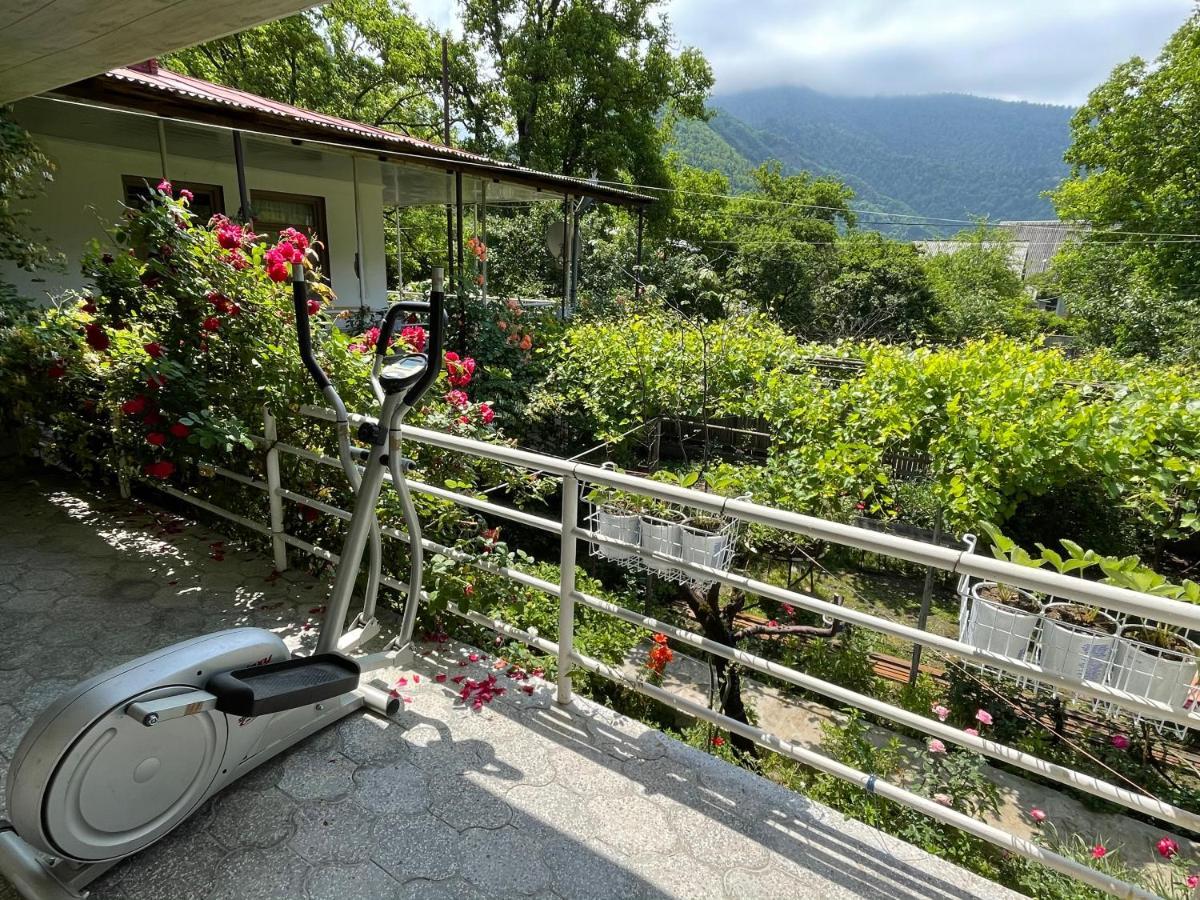 Koticha Villa Borjomi Exterior foto