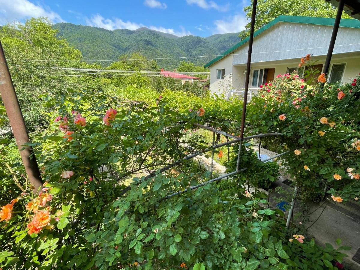 Koticha Villa Borjomi Exterior foto